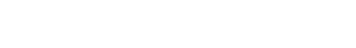 VANTAZH GO